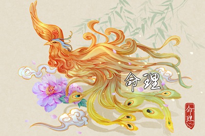 择吉老皇历_择吉皇历_老皇历